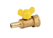 valve